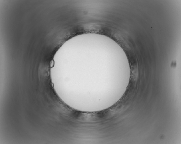 X0000090620713200708141413