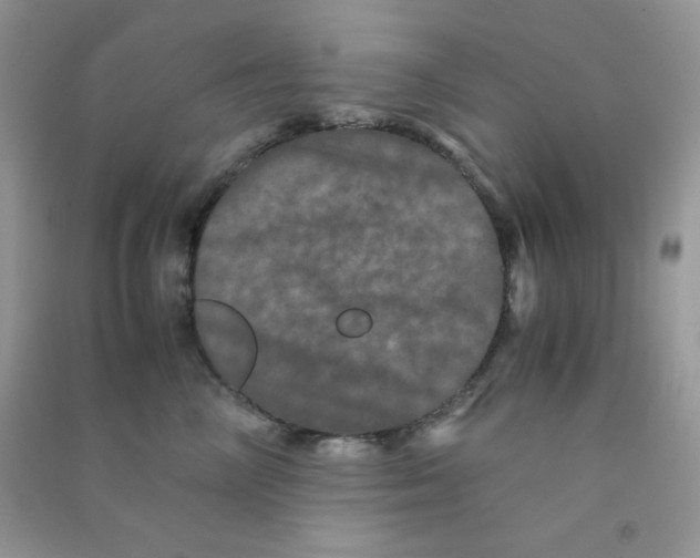 X0000090620714200708141413