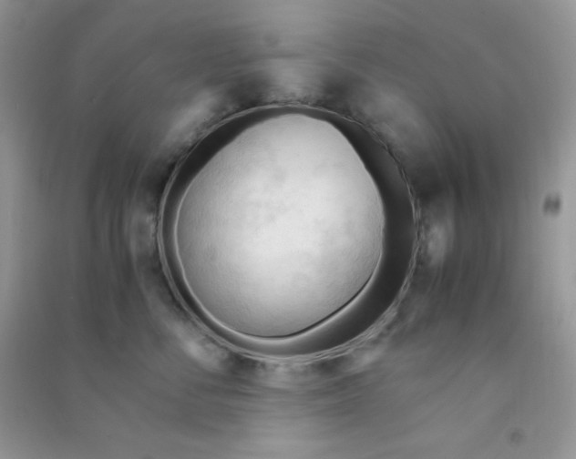 X0000090620716200708141413