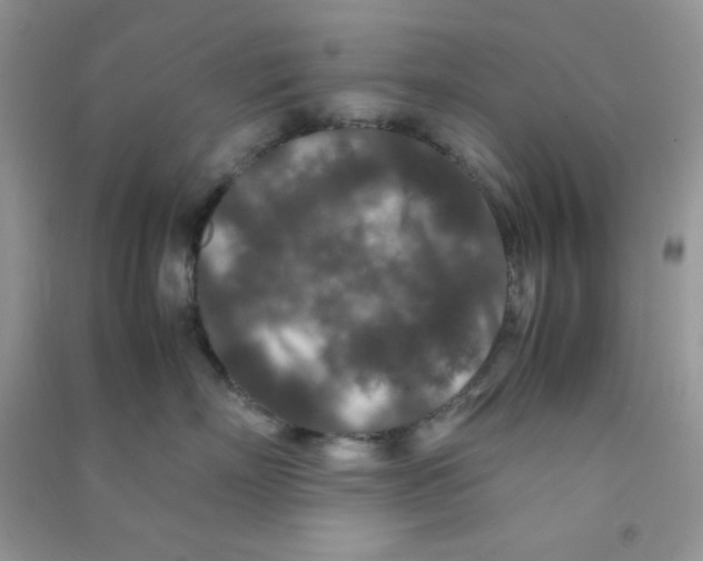 X0000090620718200708141413