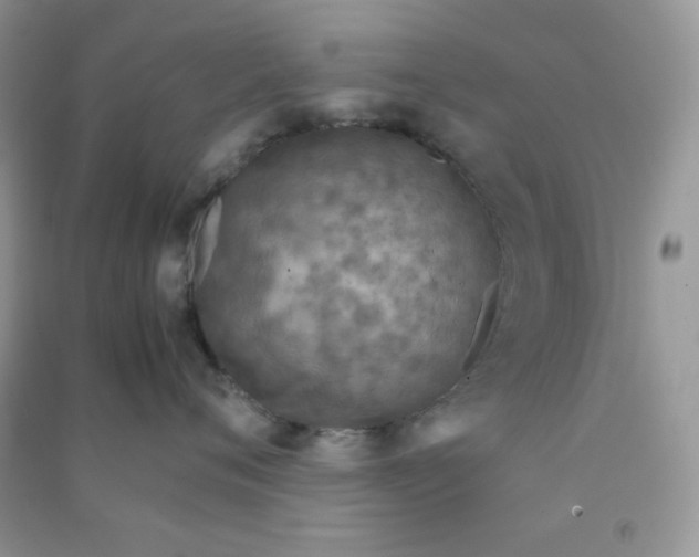 X0000090620720200708141413