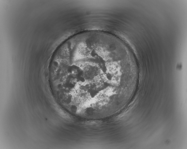 X0000090620721200708141412