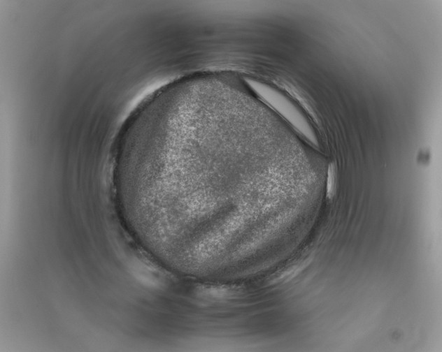 X0000090620723200708141412