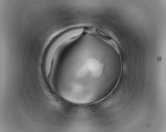 X0000090620724200708141412