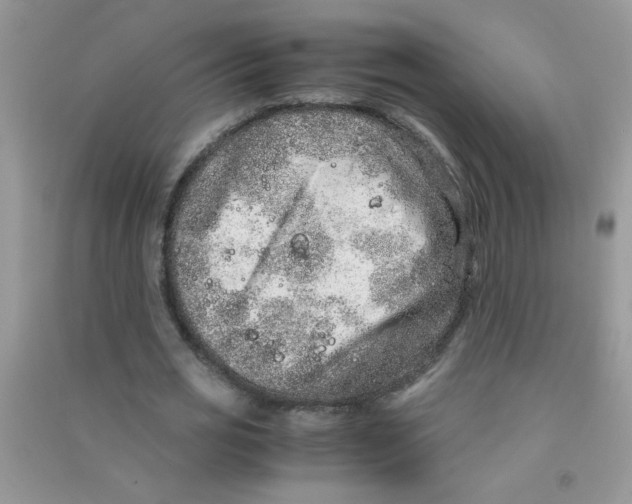 X0000090620725200708141412