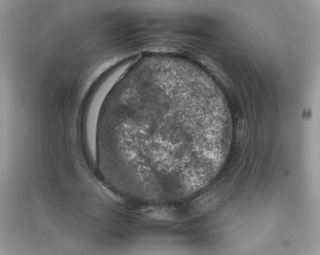 X0000090620727200708141412