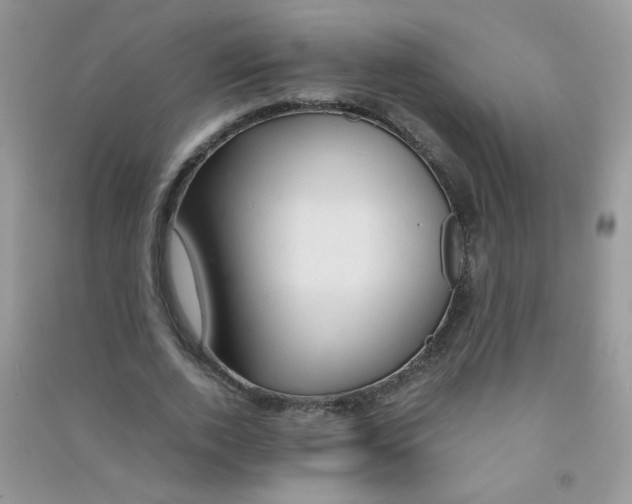 X0000090620728200708141412