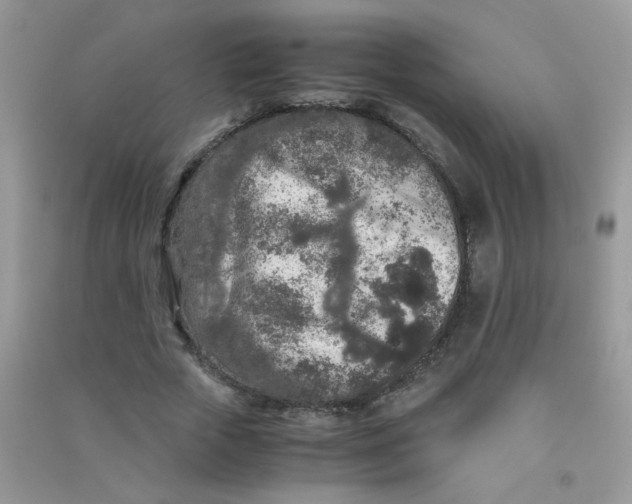 X0000090620729200708141412