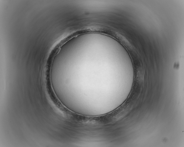 X0000090620730200708141412