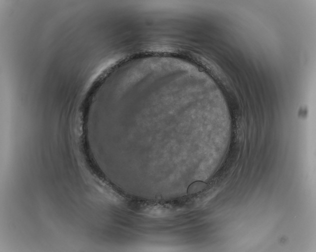 X0000090620731200708141412