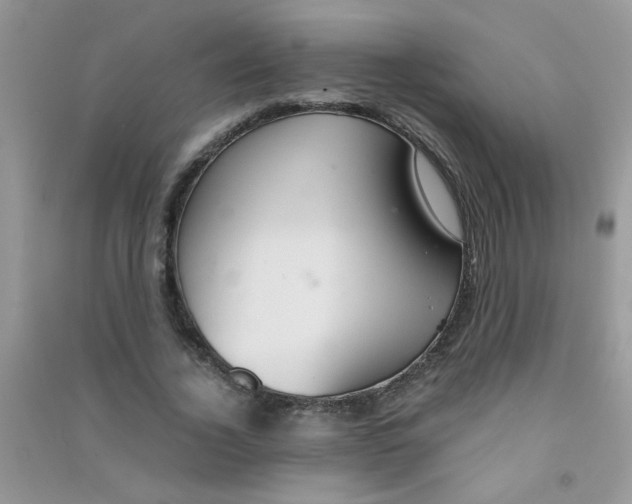 X0000090620732200708141412