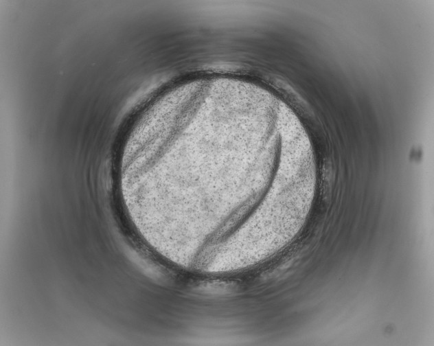 X0000090620734200708141412