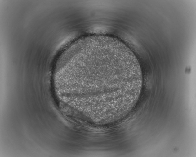 X0000090620735200708141412