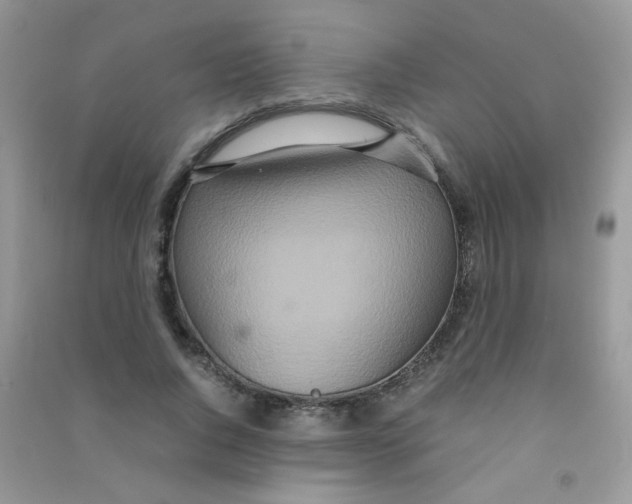 X0000090620736200708141412