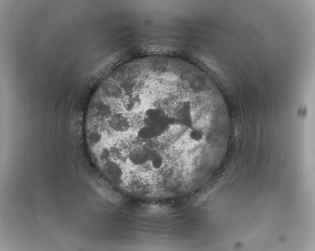 X0000090620737200708141412