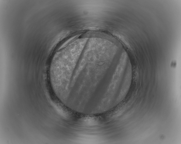 X0000090620738200708141412