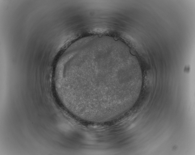 X0000090620739200708141412