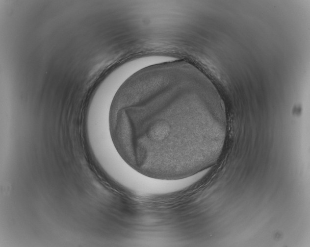 X0000090620740200708141412