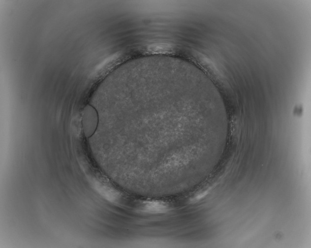 X0000090620741200708141412