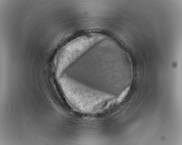 X0000090620742200708141412