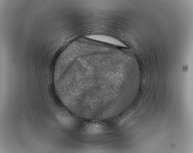 X0000090620743200708141412