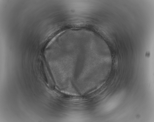 X0000090620746200708141412