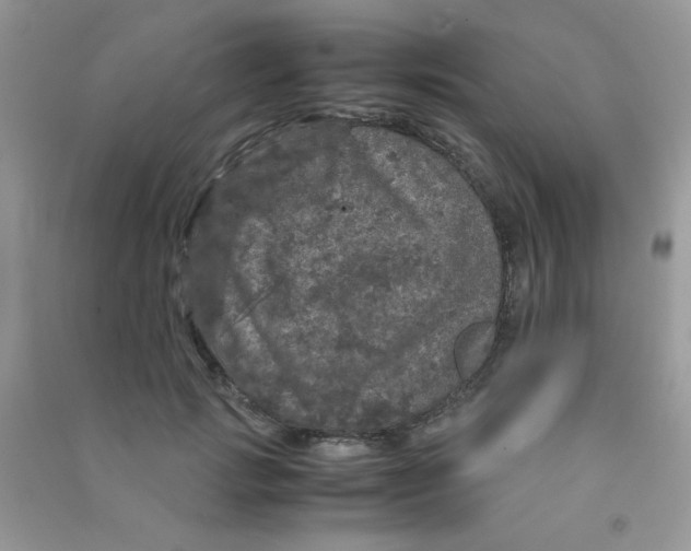 X0000090620749200708141412