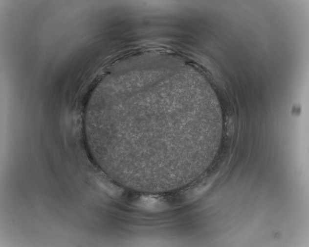 X0000090620753200708141412