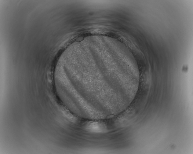 X0000090620755200708141413