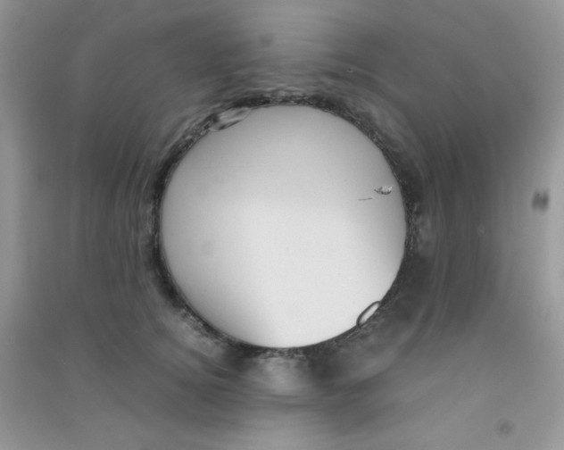 X0000090620756200708141413