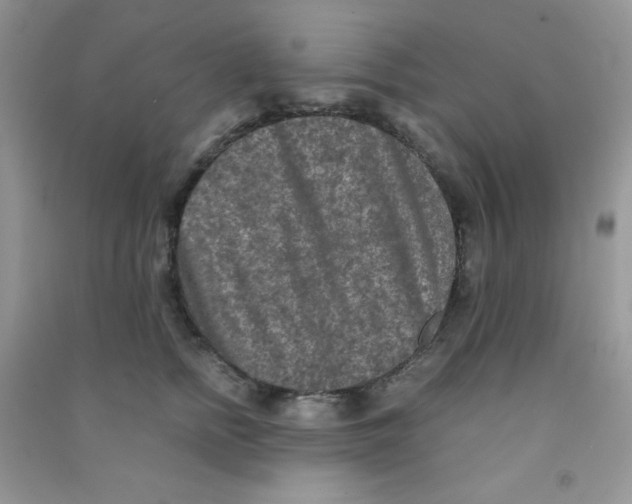 X0000090620758200708141413