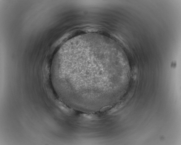 X0000090620763200708141413