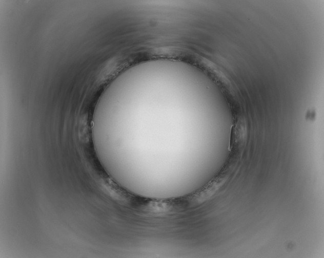 X0000090620764200708141413