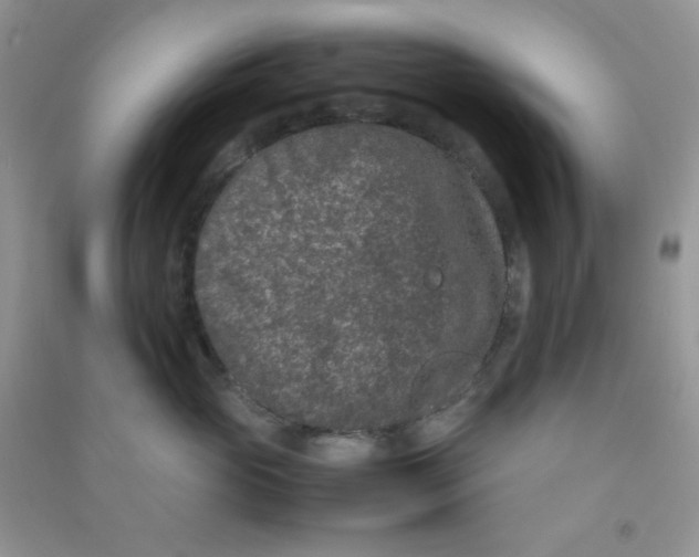 X0000090620765200708141413