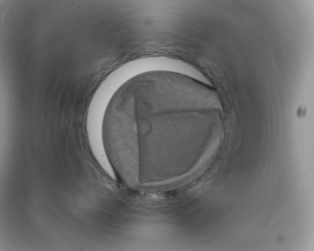 X0000090620768200708141413