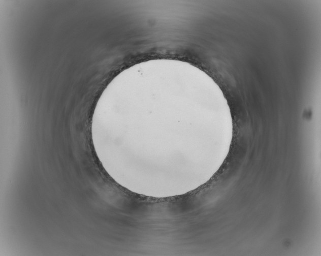 X0000090620769200708141412