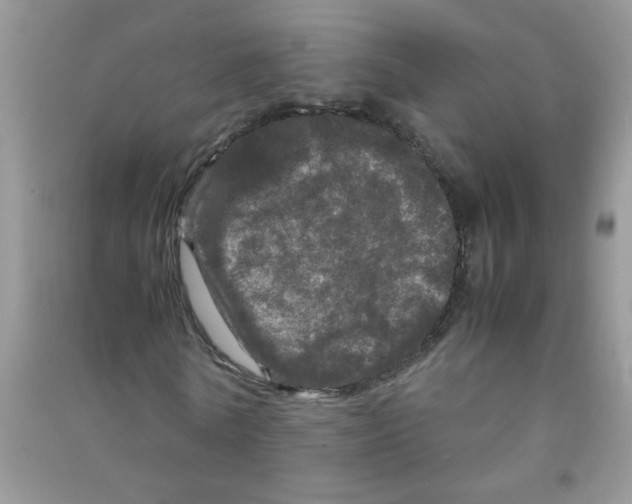 X0000090620770200708141412