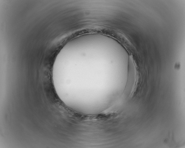 X0000090620773200708141412