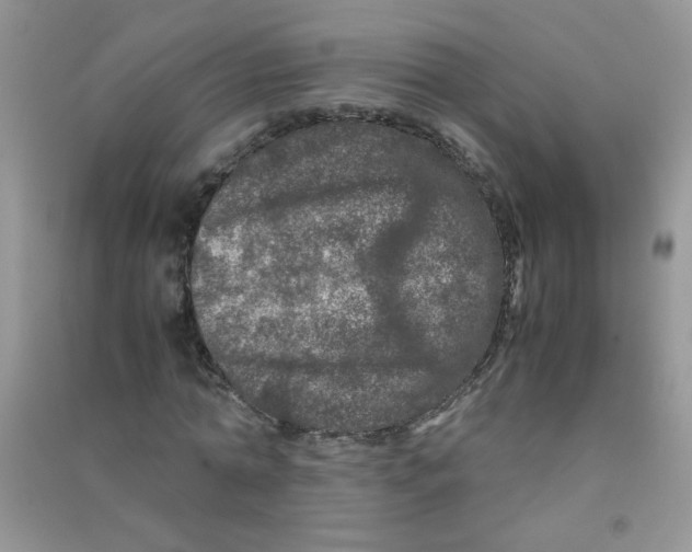 X0000090620774200708141412