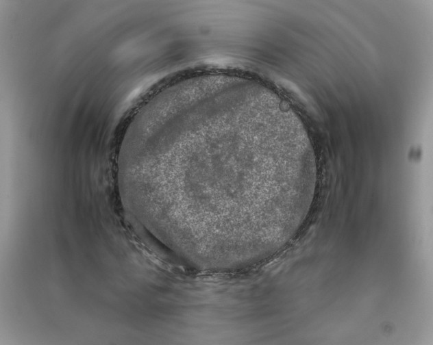 X0000090620776200708141412