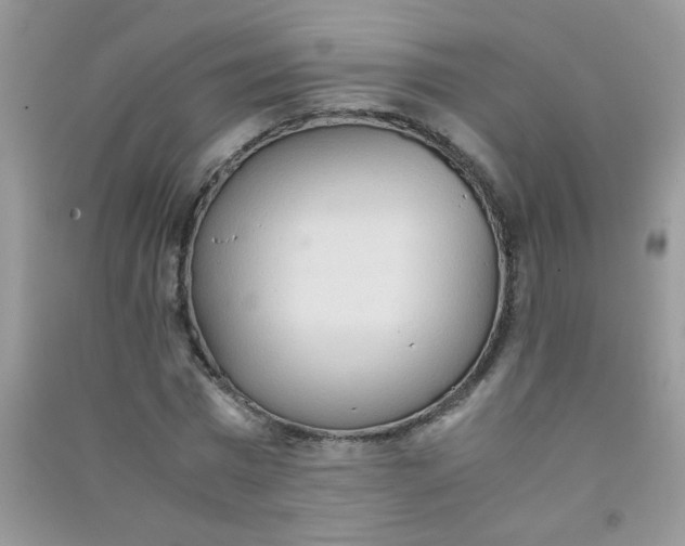 X0000090620777200708141412