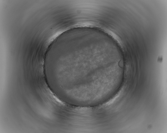 X0000090620778200708141412