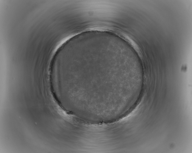 X0000090620779200708141412