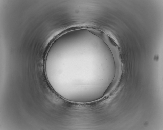 X0000090620781200708141412