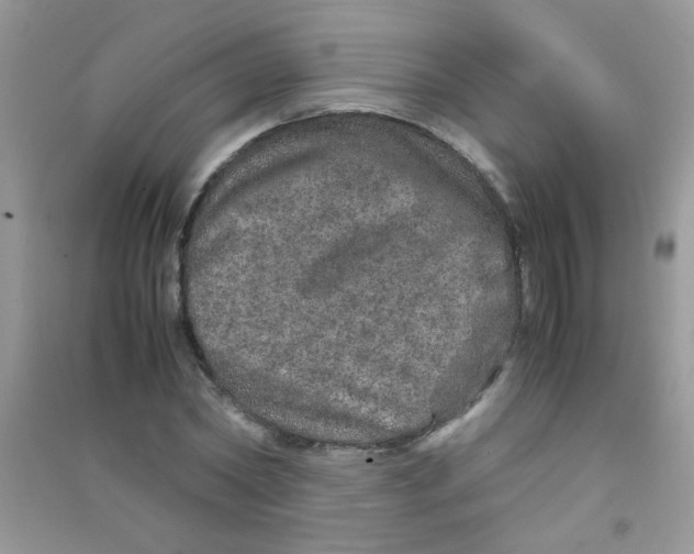 X0000090620782200708141412