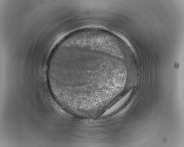 X0000090620783200708141412