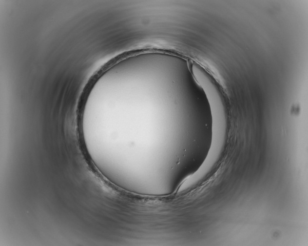 X0000090620784200708141412