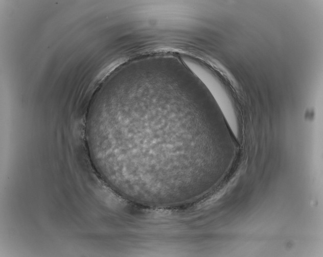 X0000090620785200708141412