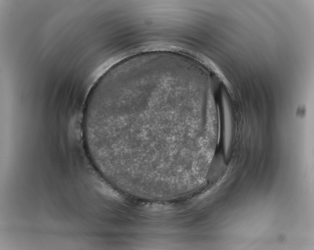 X0000090620786200708141412