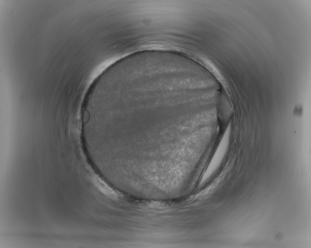 X0000090620787200708141412